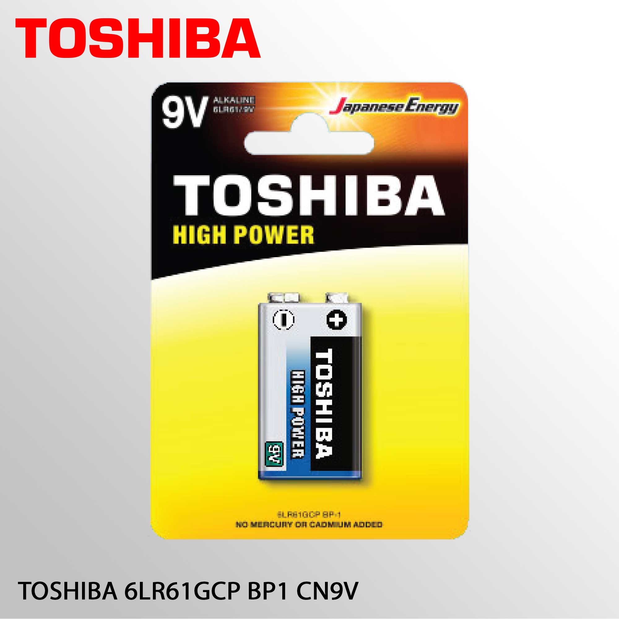 TOSHIBA 6LR61GCP BP1 CN9V
