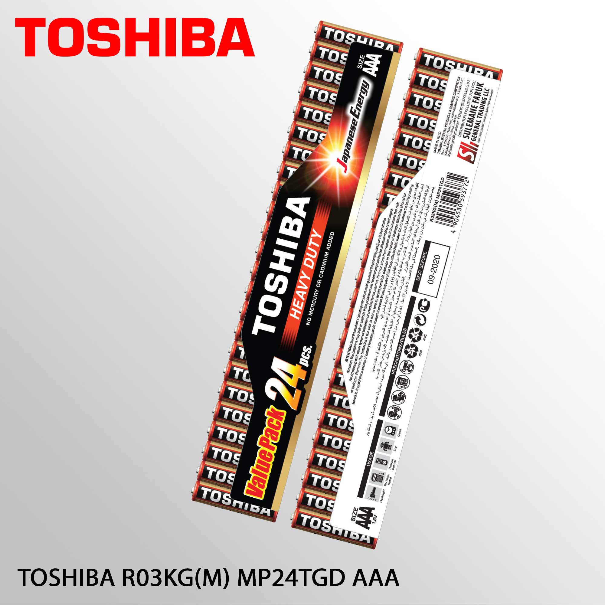 TOSHIBA R03KG(M) MP24TGD AAA