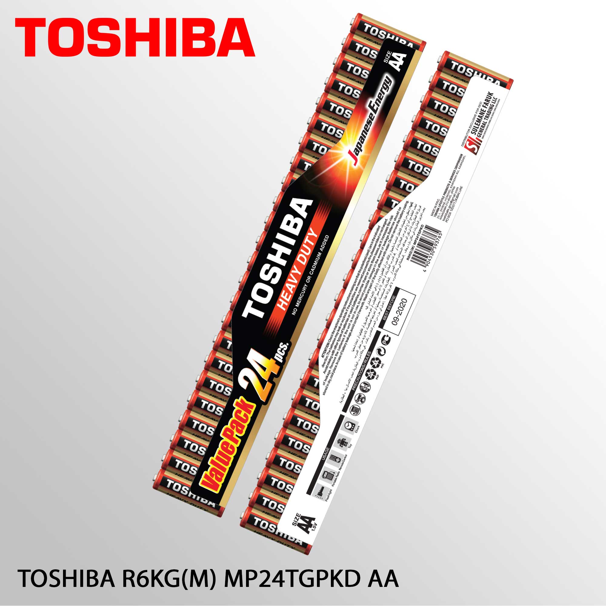 TOSHIBA R6KG(M) MP24TGPKD AA