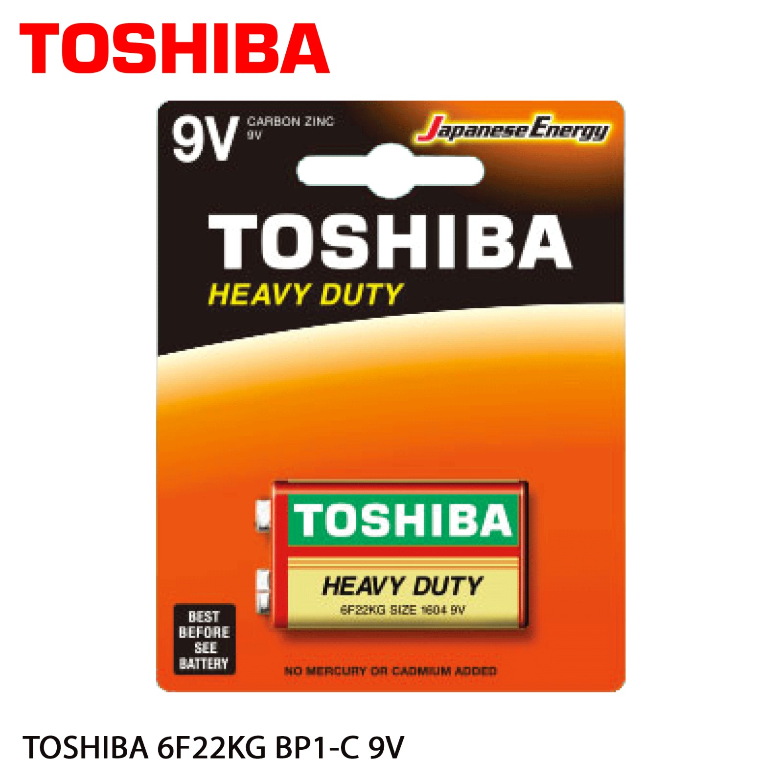 TOSHIBA 6F22KG BP-1C 9V