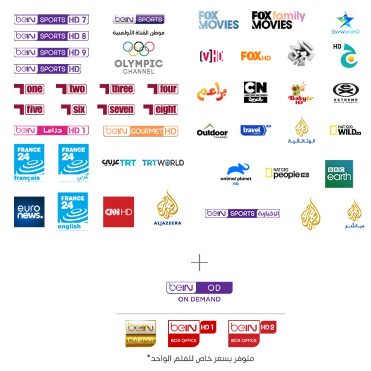 NHE Group | beIN PVR Box - ELITE 6 Months